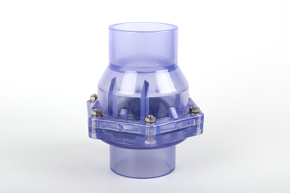 项城透明翻板式止回阀